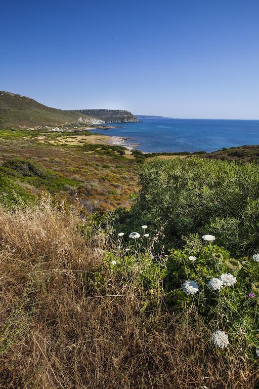 Vila Residenza Solemar Bosa Marina Exteriér fotografie